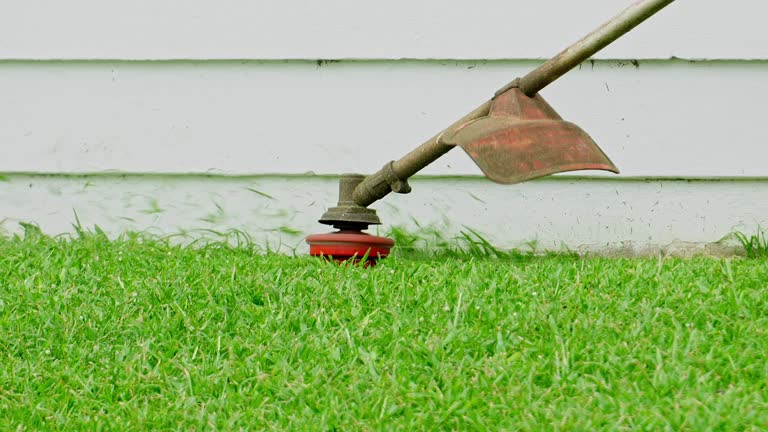 Best Sod Installation  in El Jon, CA